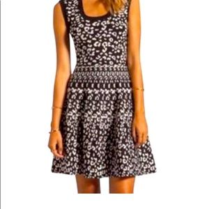 Rebecca Taylor Black Leopard Print Skater Dress
